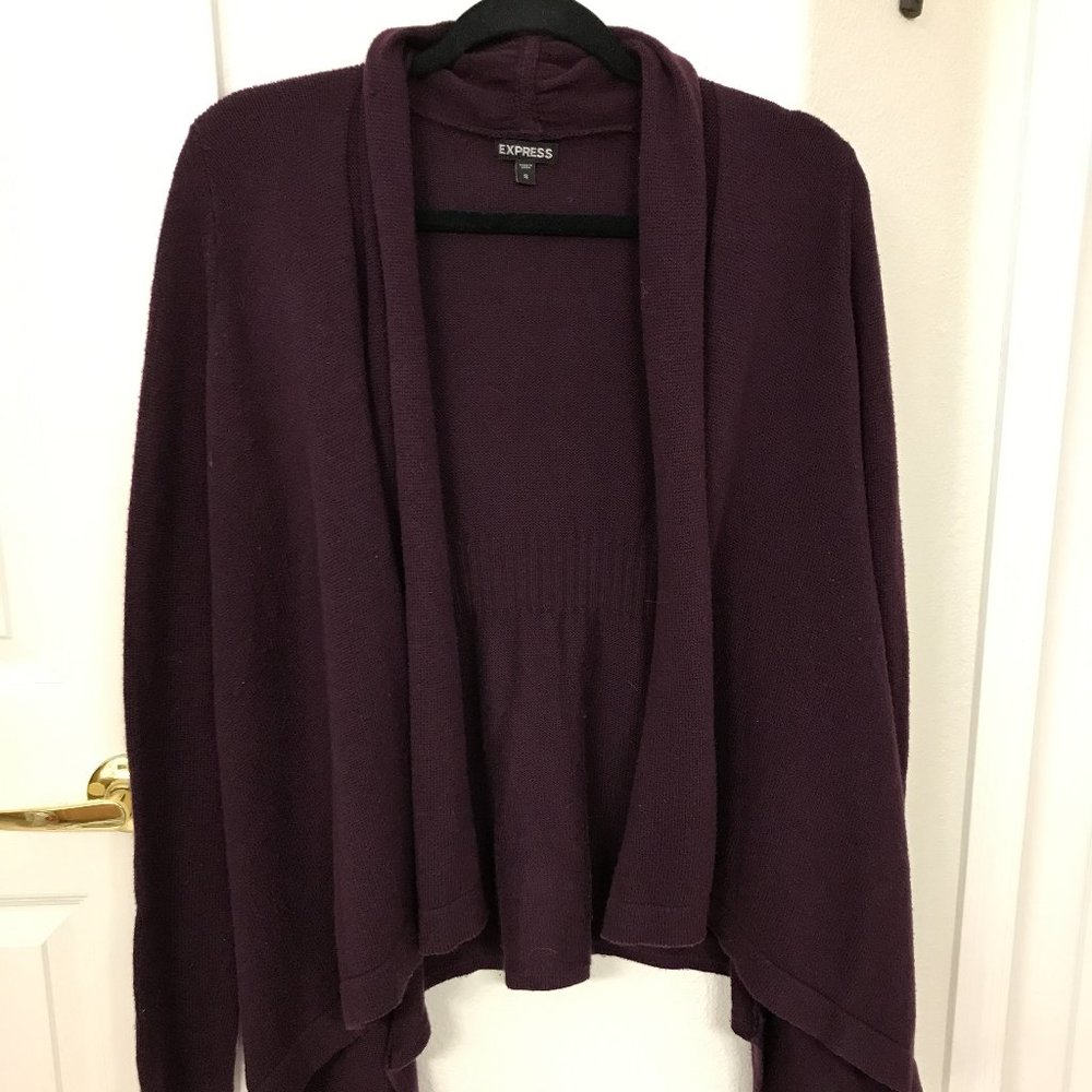 Express cardigan sweater